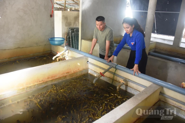 Lập nghiệp trên quê hương