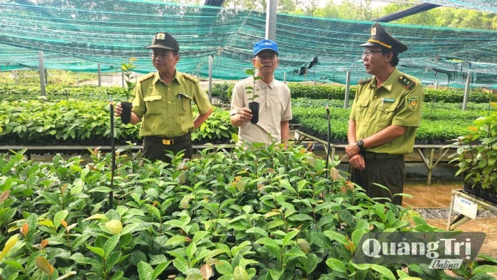 Công nhận thêm 7 nguồn giống lâm nghiệp năng suất cao