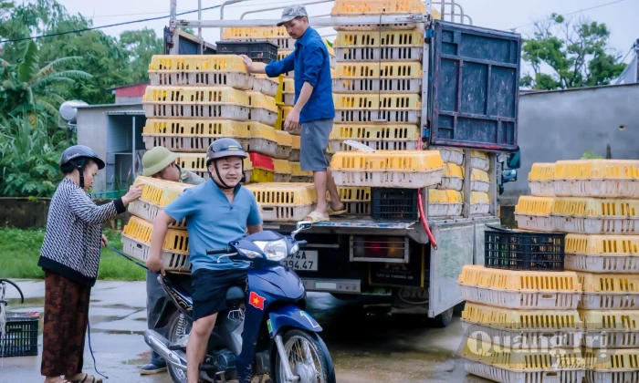 Trường Phú: Trao sinh kế cho các hộ gia đình hoàn cảnh khó khăn