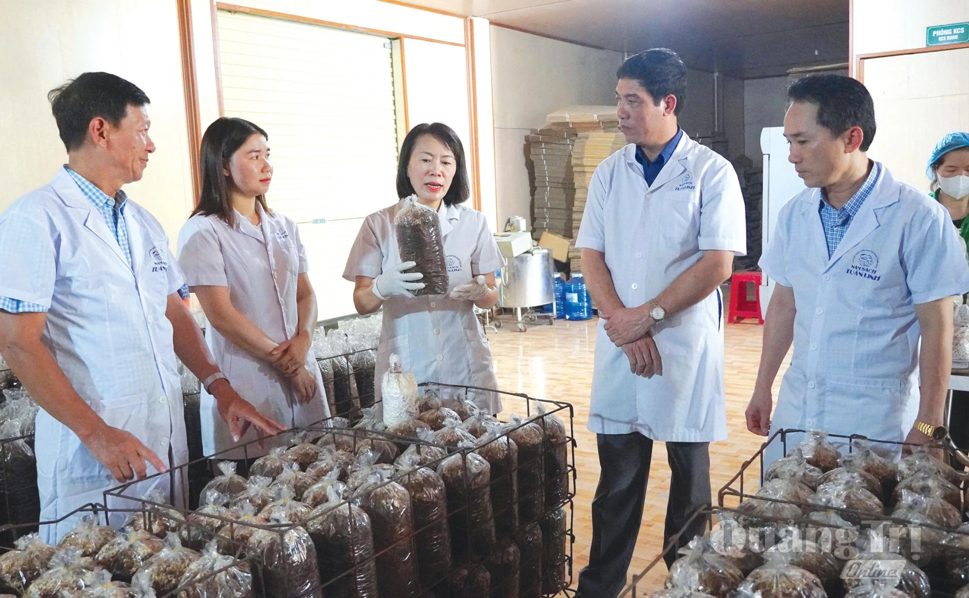 HTX Tuấn Linh tích cực ứng dụng các kỹ thuật, công nghệ mới vào sản xuất - Ảnh: L.M