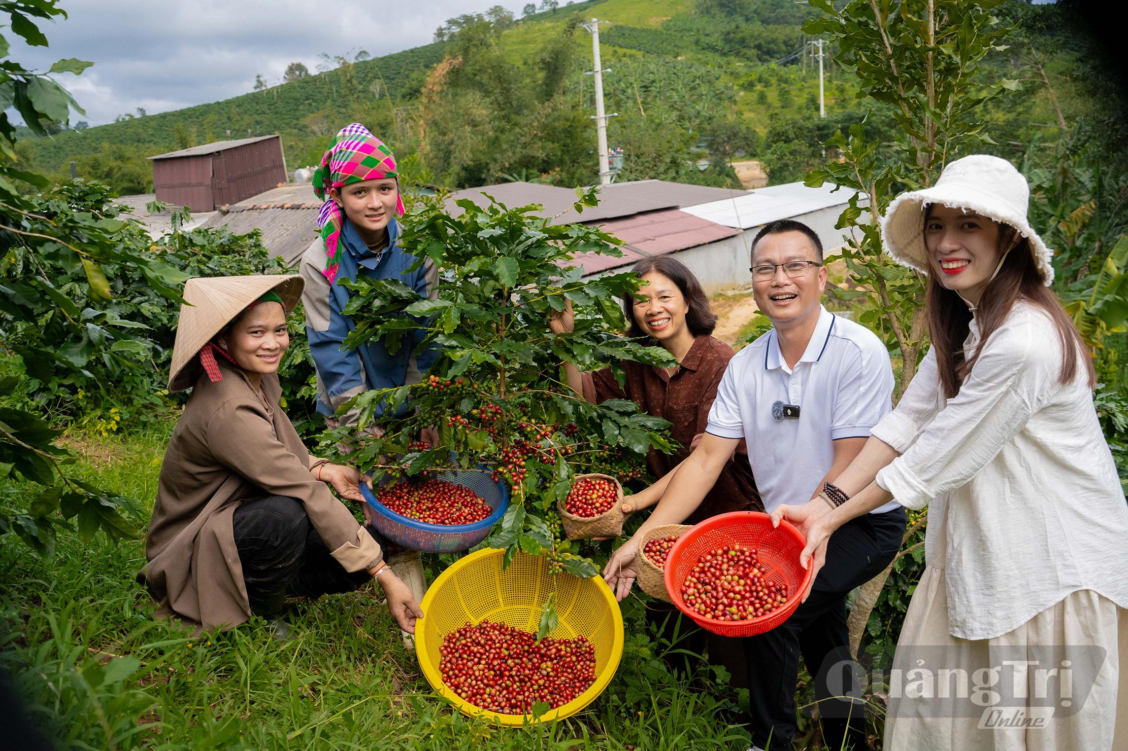 Thương hiệu cà phê Khe Sanh được nhiều du khách biết đến thông qua các nền tảng số - Ảnh: HTX Việt Nam-Khe Sanh
