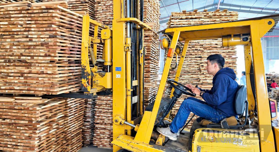 Công nhân đang làm việc tại Công ty TNHH MTV Gỗ Nguyên Phong - Ảnh: N.V
