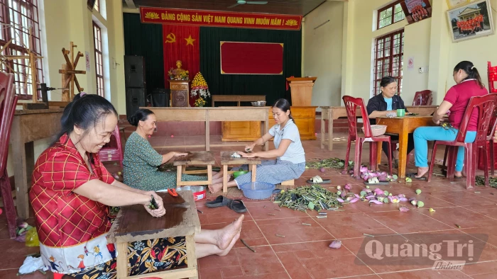 Kéo tơ từ sen