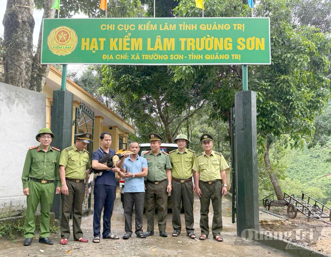 Lực lượng Kiểm lâm tỉnh phối hợp với các đơn vị chức năng bàn giao cá thể chim Hồng Hoàng quý hiếm cho Trung tâm Cứu hộ, bảo tồn và phát triển sinh vật thuộc Vườn Quốc gia Phong Nha-Kẻ Bàng - Ảnh: CTV

   