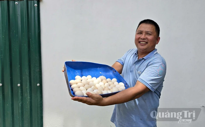 Biến phế phụ phẩm nông nghiệp thành 'tài nguyên'