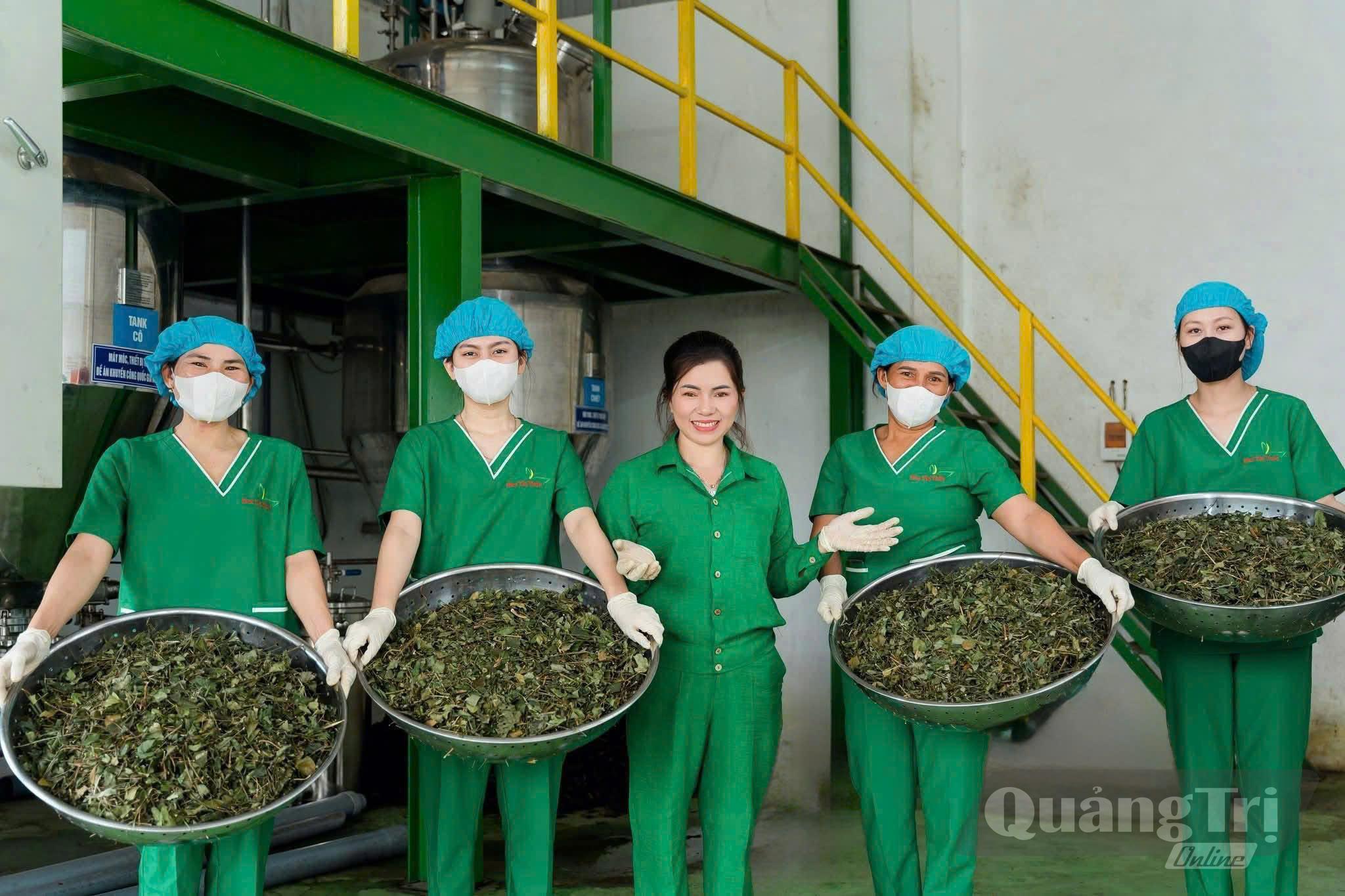Công ty TNHH Dược liệu Mai Thị Thủy phát triển sản xuất theo hướng bền vững - Ảnh: M.H

 