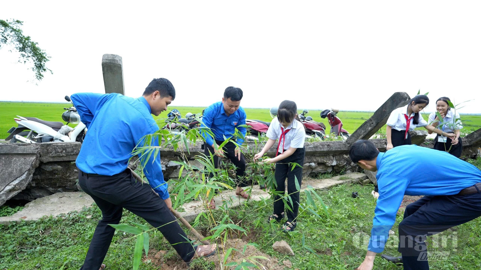 Đoàn viên, thanh niên hỗ trợ người dân trồng tre chống bão, lũ - Ảnh: P.P