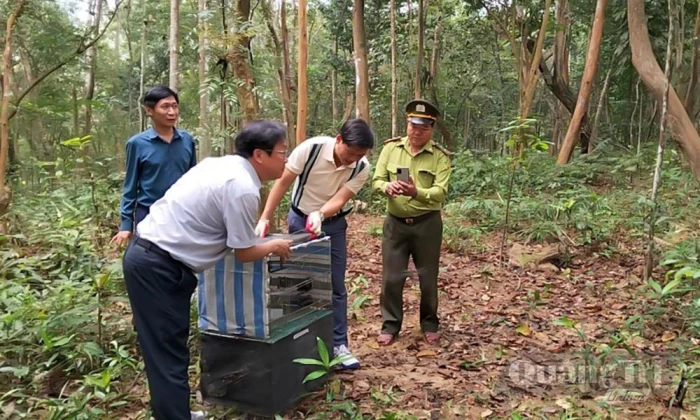 Mở rộng hợp tác, nâng tầm di sản