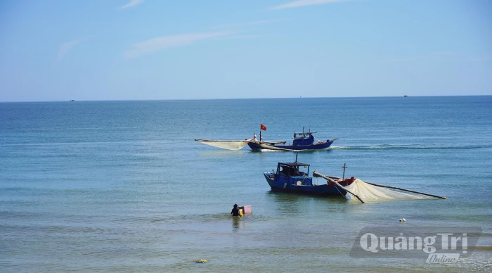 Mùa ruốc ở Bảo Ninh