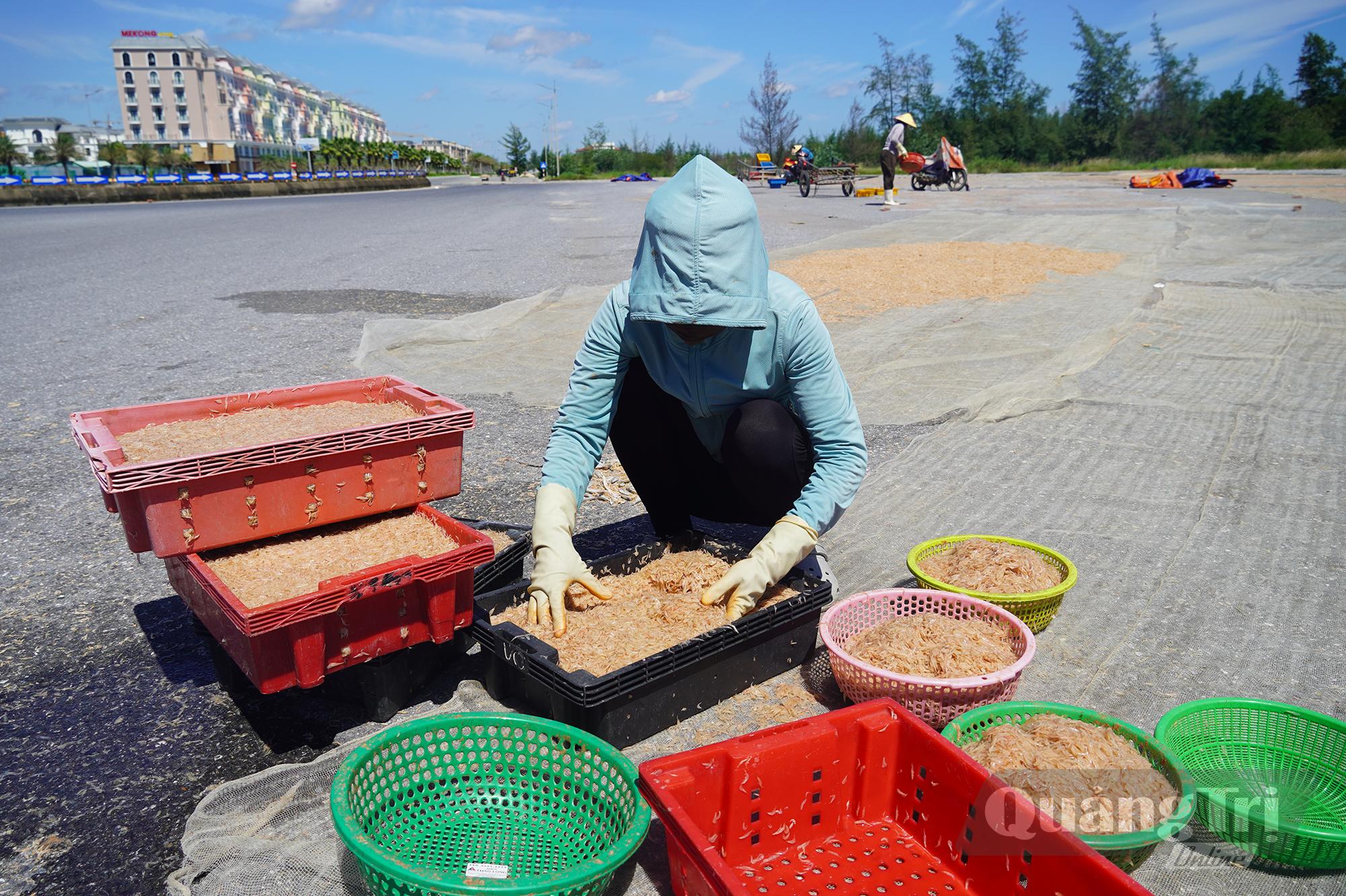 Những mẻ ruốc tươi rói được ngư dân phơi cho kịp nắng-Ảnh:P.P
