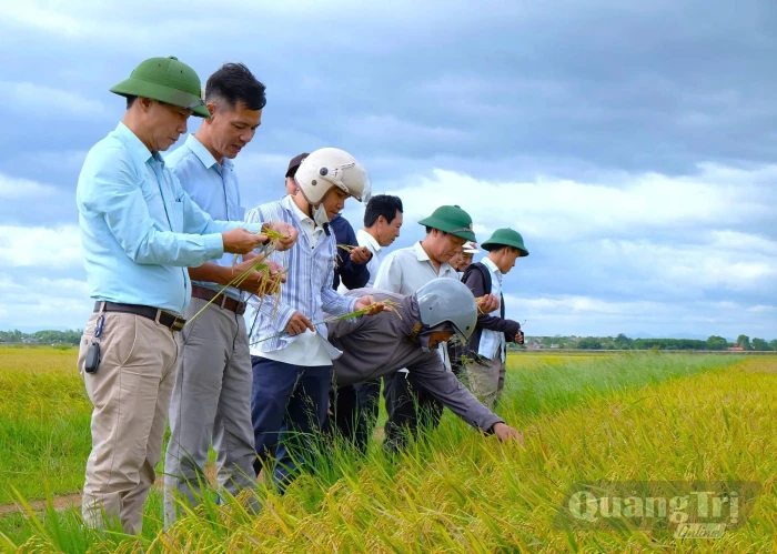 Kỳ vọng từ chính sách phát triển nông nghiệp