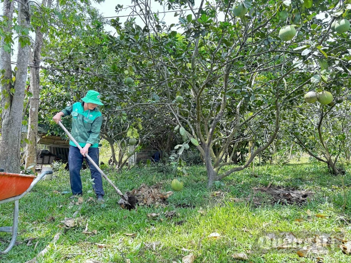 Vĩnh Thủy hướng đến vùng sản xuất nông nghiệp xanh
