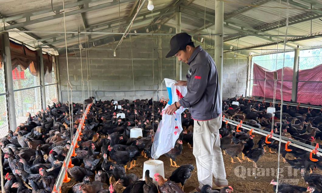 Các trang trại ở xã Trường Phú đều có quy mô nhỏ, nguồn lực đầu tư còn hạn chế - Ảnh: N.H
