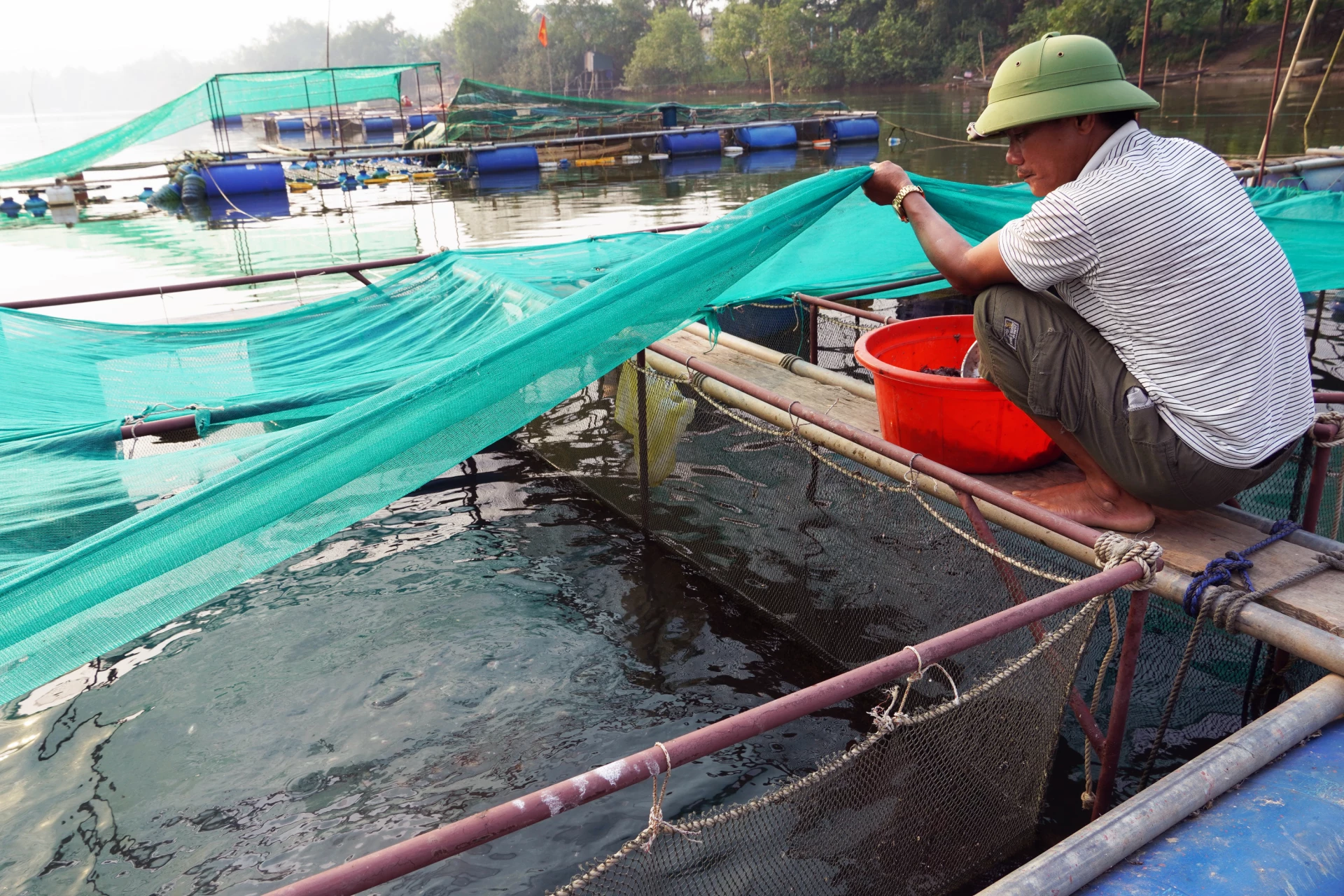 Nuôi cá lồng trên sông mang lại thu nhập ổn định cho người dân thôn Phú Ninh, xã Ninh Châu - Ảnh: L.C