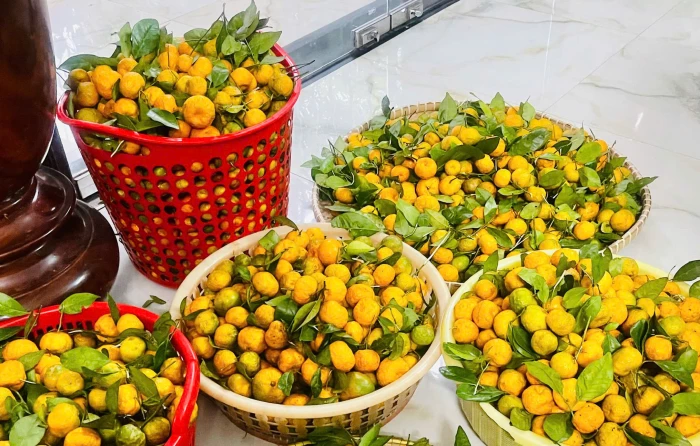 Biến trái rừng thành vị thuốc quý