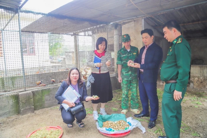 Nghiệm thu các nhiệm vụ, dự án khoa học công nghệ có tính thực tiễn cao