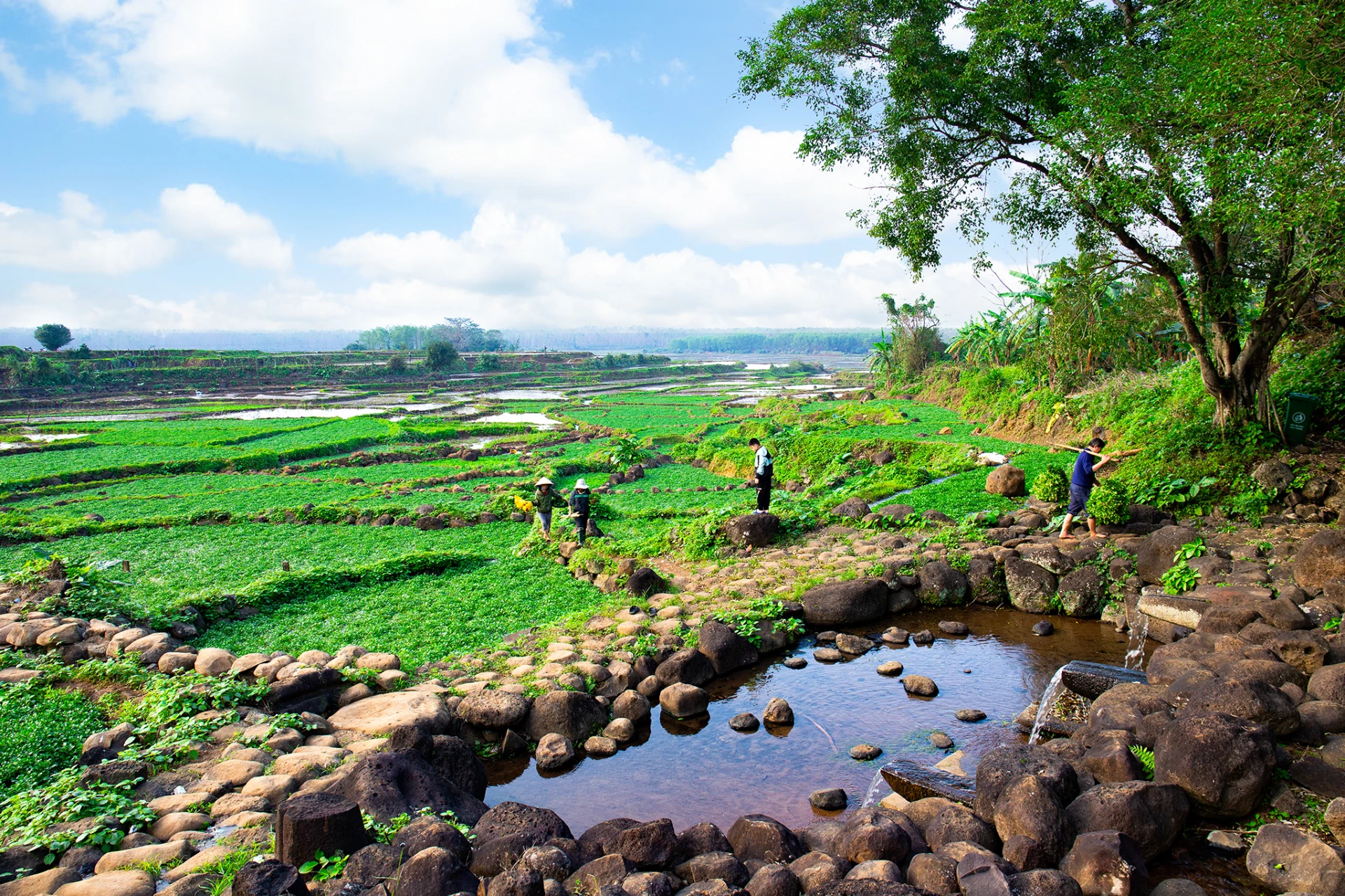 Hệ thống giếng cổ hầu hết đều nằm ở chân sườn các quả đồi đất đỏ bazan, quanh năm không bao giờ cạn.