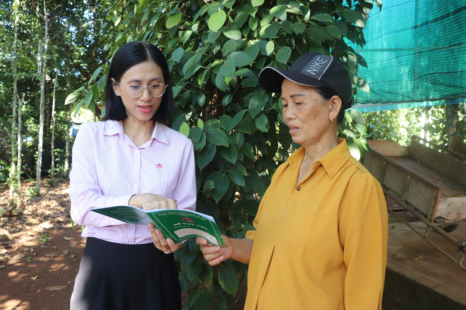 Chị Nguyễn Thị Trang kiểm tra mô hình sản xuất của hộ vay vốn ưu đãi - Ảnh: T.P