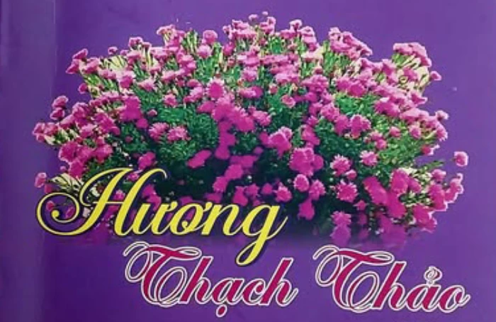 Gửi chút hương thu trong nắng mới đang về