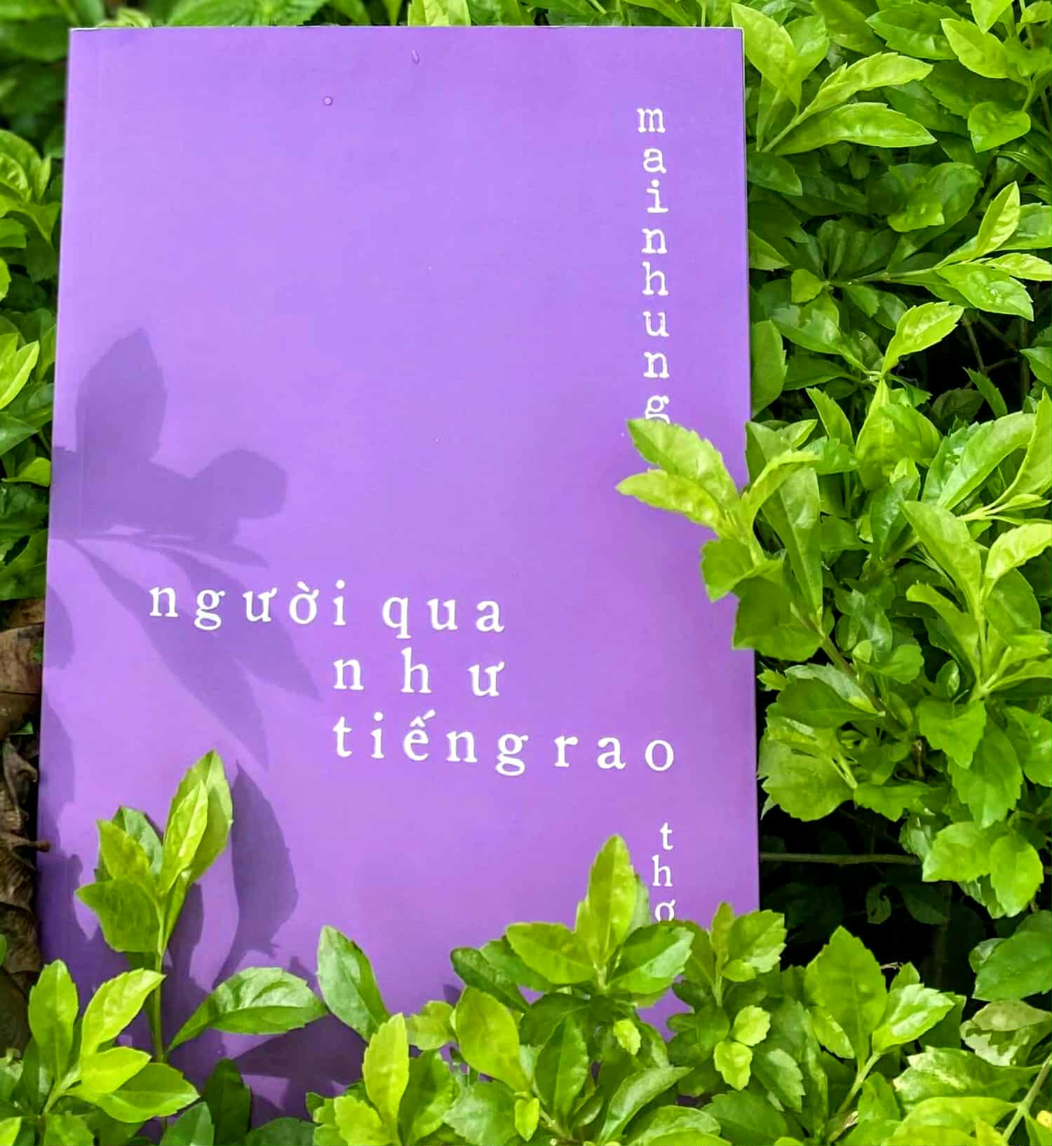 Bìa tập thơ “người qua như tiếng rao” -Ảnh: N.Đ.H