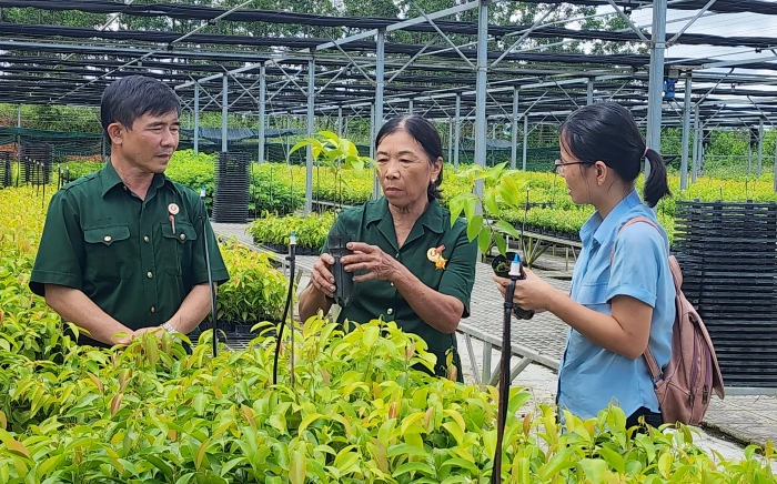 Những bông hoa giữa đời thường
