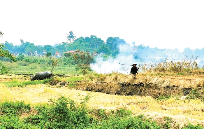 Mùa thu qua cánh đồng làng