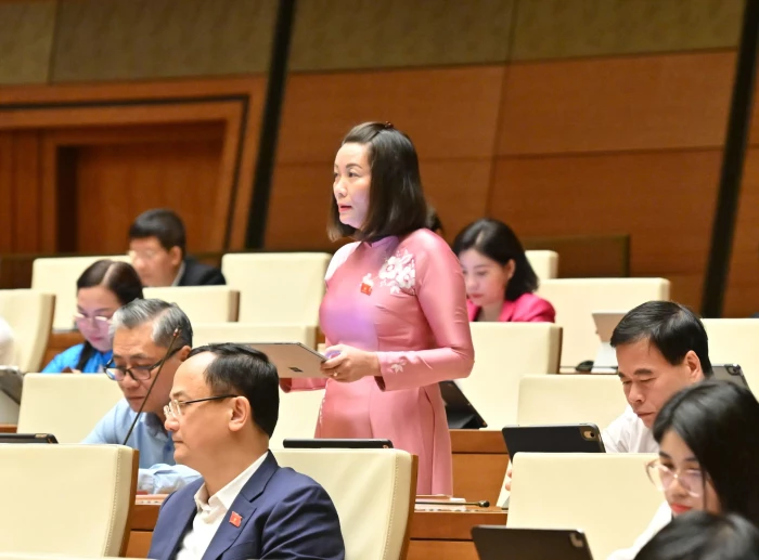 Cần cơ chế ràng buộc trách nhiệm trong thực thi chính sách bảo vệ môi trường