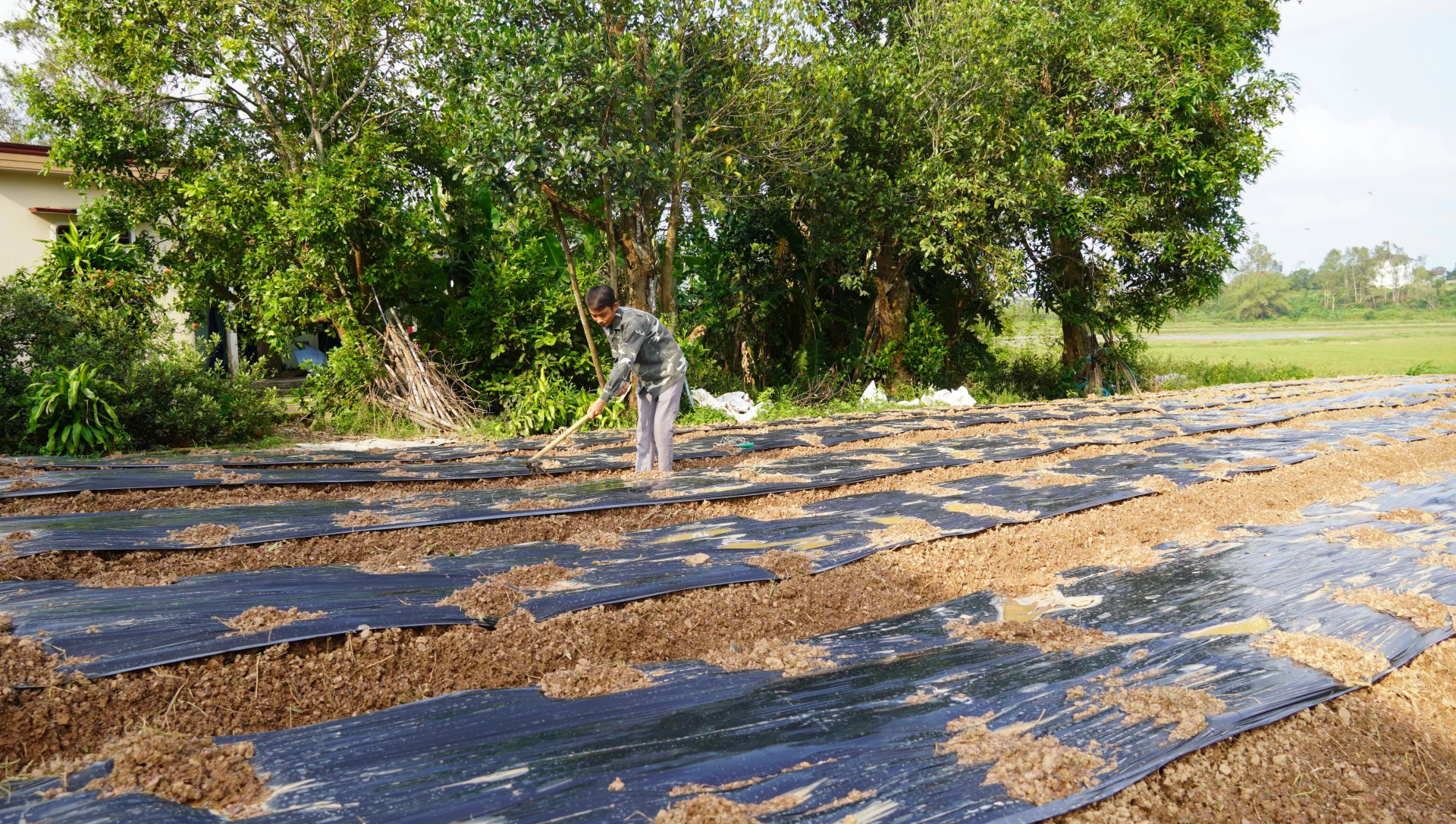 Anh Nguyễn Thành Trung (xã Nam Trạch) chuẩn bị đất để xuống giống hoa vụ Tết - Ảnh: M.N