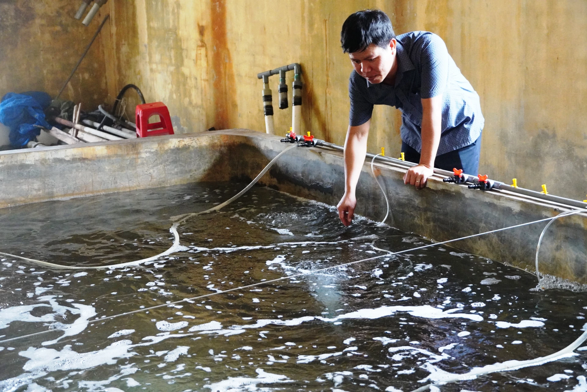 Một cơ sở sản xuất, ương dưỡng con giống trên địa bàn tỉnh - Ảnh: T.H