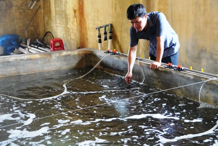 Chú trọng sản xuất giống thủy sản