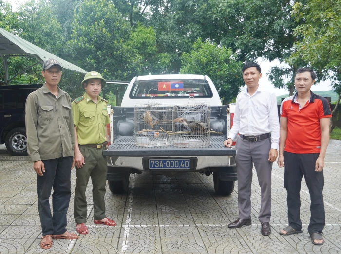 Người dân tự nguyện giao nộp cá thể chim niệc nâu quý hiếm
