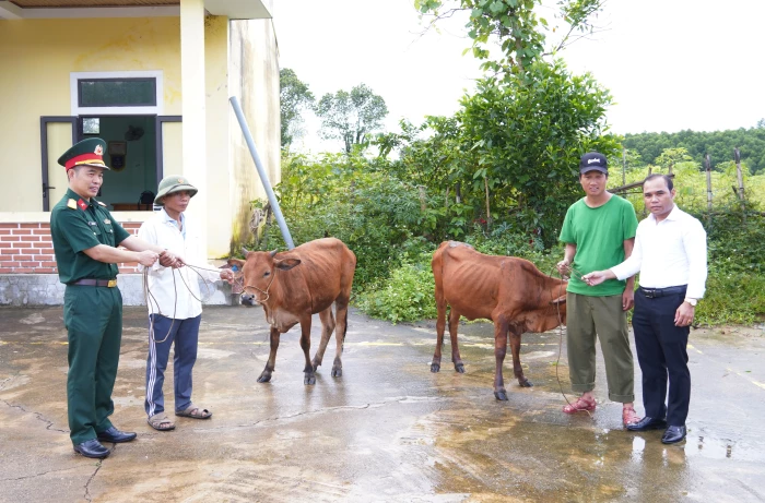 Đoàn Kinh tế-Quốc phòng 79: Bàn giao bò giống sinh sản cho hộ nghèo tại xã Kim Ngân
