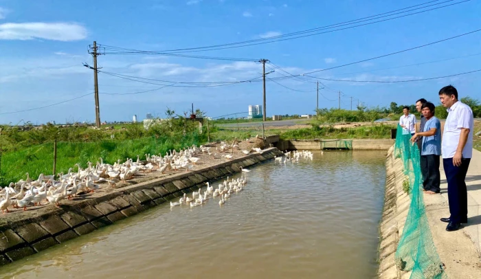 Để phát triển các mô hình kinh tế tập thể