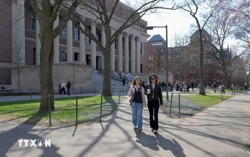 Sinh viên tại Đại học Havard ở Cambridge, Massachusetts (Mỹ). (Ảnh: Reuters/TTXVN)