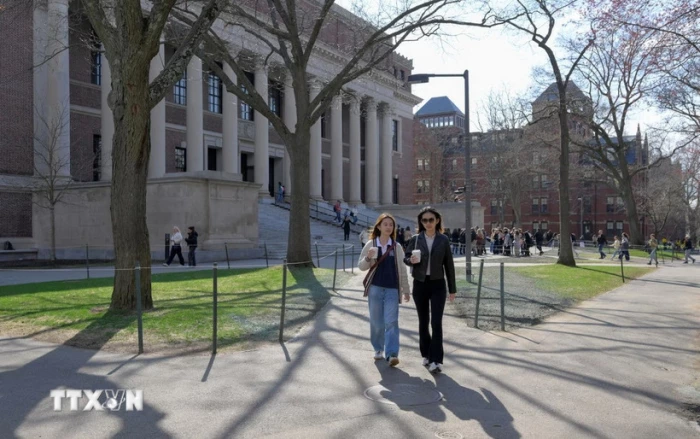 Havard công bố phát hiện đột phá về bệnh tâm thần