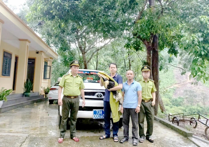 Bàn giao cá thể chim Hồng hoàng quý hiếm cho Vườn Quốc gia Phong Nha-Kẻ Bàng