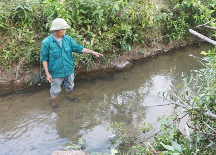Yêu cầu một trang trại chăn nuôi lợn dừng hoạt động