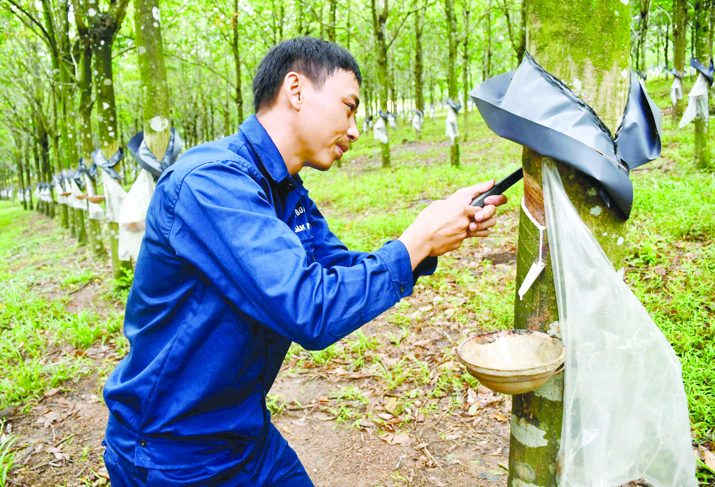 Người công nhân 