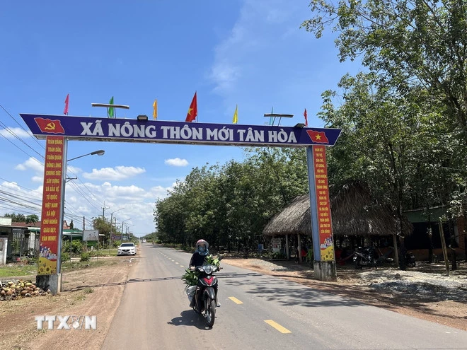 Xã biên giới Tân Hòa là xã Nông thôn mới, kinh tế chủ yếu là nông nghiệp trồng cây cao su, cây mỳ (sắn). (Ảnh: Đức Hạnh/TTXVN)