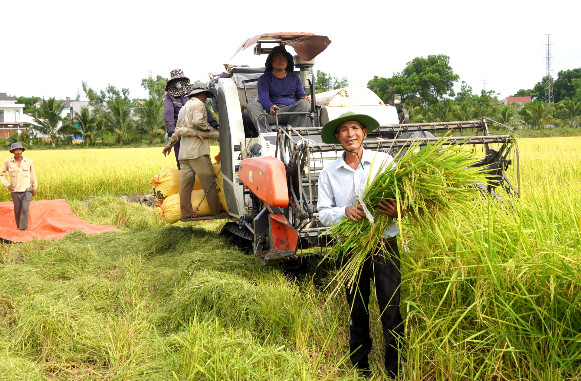 Nông dân phường Đồng Sơn thi đua sản xuất, đoàn kết giúp nhau làm giàu và giảm nghèo bền vững. Ảnh: H.Tr.