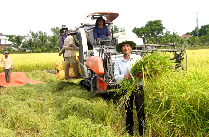 Phường Đồng Sơn: 739 hộ nông dân đạt danh hiệu sản xuất, kinh doanh giỏi