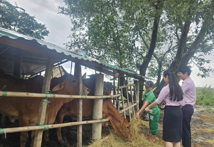 Vượt khó nhờ nguồn vốn tín dụng chính sách