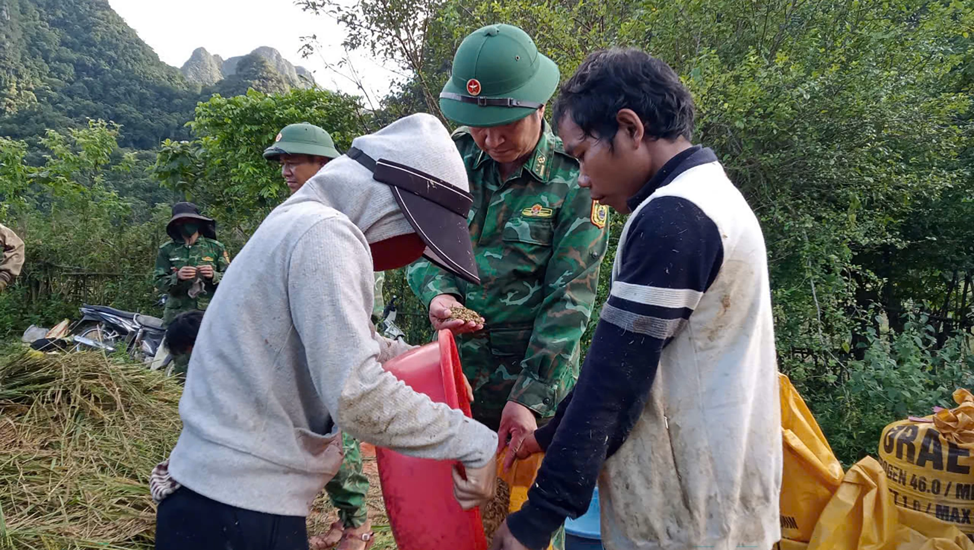 Với năng suất bình quân 5,1 tấn/ha, đây là vụ mùa bội thu nhất của đồng bào Rục - Ảnh: N.M