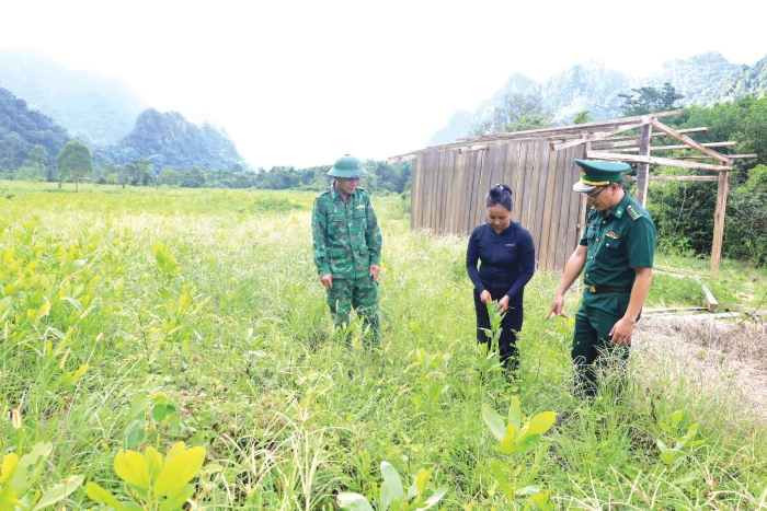 Mang no ấm đến các bản làng