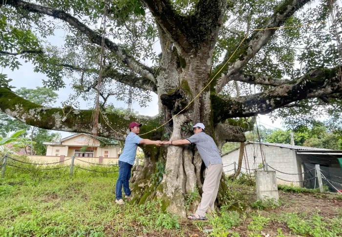 “Báu vật” của làng