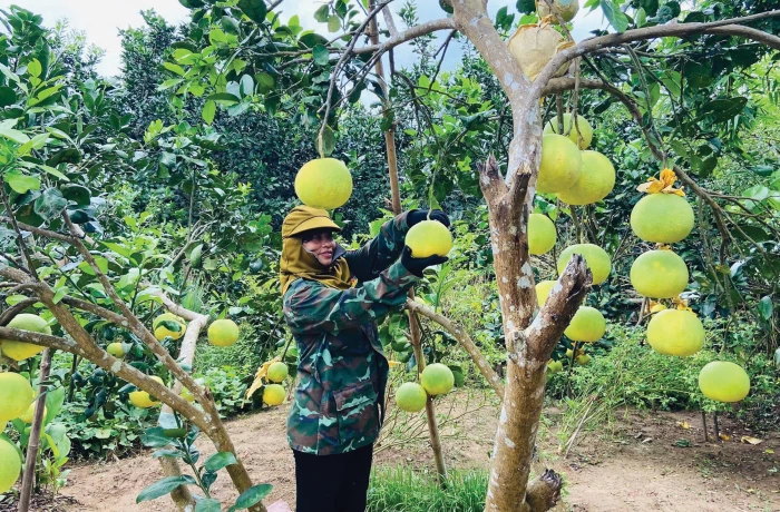 Khởi sắc vùng quê cách mạng