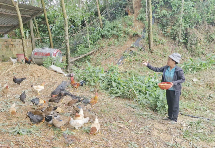 Những nữ 'thủ lĩnh' của bản làng