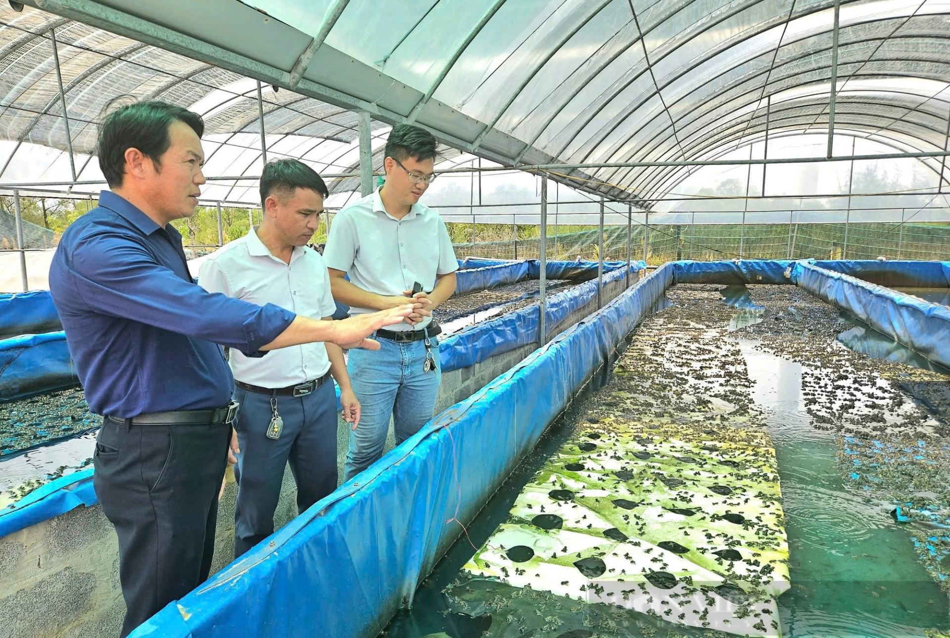 Nông dân tỉnh Quảng Trị đã áp dụng khoa học kỹ thuật vào sản xuất mang lại hiệu quả - Ảnh: X.V