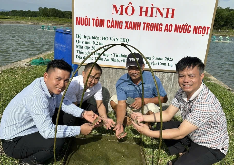 Cán bộ Trung tâm Khuyến nông tỉnh kiểm tra mô hình nuôi tôm càng xanh trong ao - Ảnh: L.A