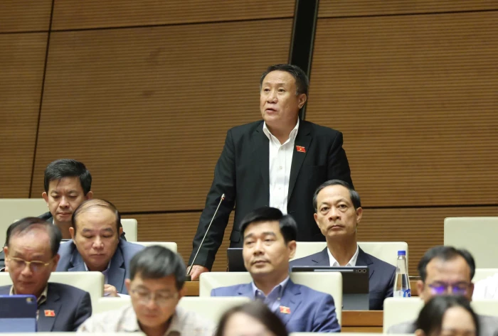 Đại biểu Quốc hội tỉnh Quảng Trị góp ý xây dựng pháp luật